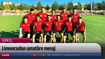 Limoncudan amat&ouml;re mesaj