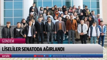 Liseliler senatoda ağırlandı
