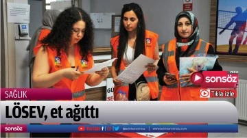 L&Ouml;SEV, et ağıttı