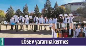 L&Ouml;SEV YARARINA KERMES 
