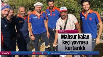 Mahsur kalan ke&ccedil;i yavrusu kurtarıldı