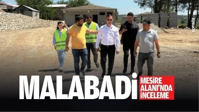 Malabadi Mesire Alanı&rsquo;nda inceleme