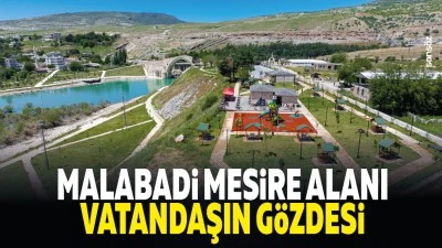 Malabadi mesire alanı vatandaşın g&ouml;zdesi