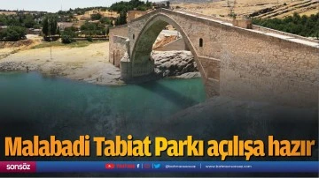 Malabadi Tabiat Parkı a&ccedil;ılışa hazırlanıyor