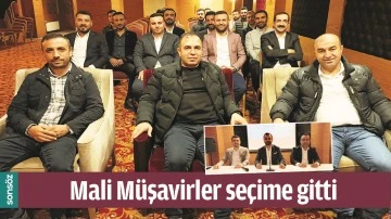 MALİ M&Uuml;ŞAVİRLER SE&Ccedil;İME GİTTİ