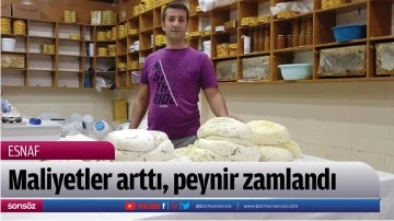 Maliyetler arttı, peynir zamlandı
