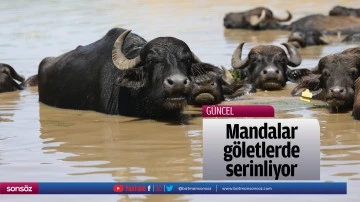 Mandalar g&ouml;letlerde serinliyor