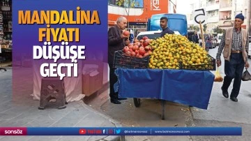 Mandalina fiyatı d&uuml;ş&uuml;şe ge&ccedil;ti