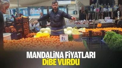 Mandalina fiyatları dibe vurdu