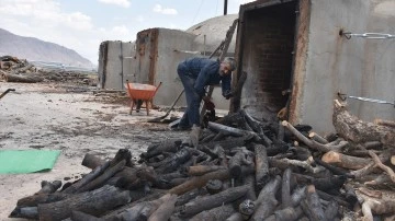 Mangal k&ouml;m&uuml;r&uuml; Irak'tan da talep g&ouml;r&uuml;yor