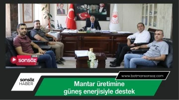 Mantar &uuml;retimine g&uuml;neş enerjisiyle destek
