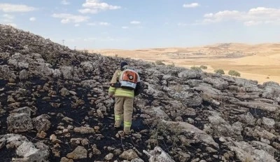Mardin'de 1 haftada 236 yangına m&uuml;dahale edildi
