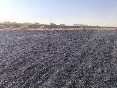 Mardin'de bir serada ve buğday tarlasında &ccedil;ıkan yangın s&ouml;nd&uuml;r&uuml;ld&uuml;