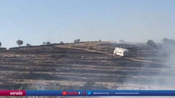 Mardin'de &ccedil;ıkan anız ve &ouml;rt&uuml; yangını s&ouml;nd&uuml;r&uuml;ld&uuml;