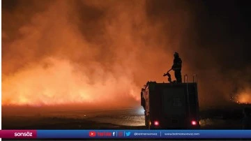 Mardin&rsquo;de &ccedil;ıkan anız yangını s&ouml;nd&uuml;r&uuml;ld&uuml;