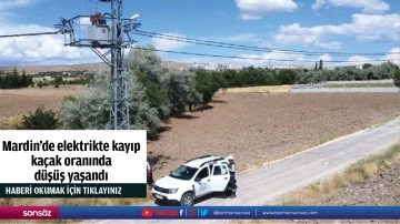 Mardin'de elektrikte kayıp ka&ccedil;ak oranında d&uuml;ş&uuml;ş yaşandı