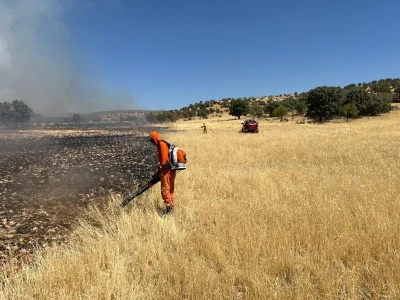 Mardin'de ormanlık alanda &ccedil;ıkan yangın kontrol altına alındı