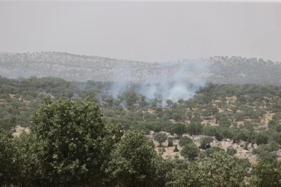 Mardin'de ormanlık alanda &ccedil;ıkan yangın kontrol altına alındı