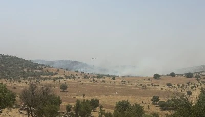Mardin'de ormanlık alanda &ccedil;ıkan yangına m&uuml;dahale ediliyor