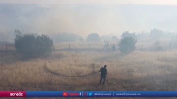 Mardin'de ormanlık alanlarda &ccedil;ıkan yangınlara m&uuml;dahale ediliyor
