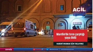 Mardin'de tırın &ccedil;arptığı yaya &ouml;ld&uuml;