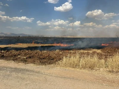 Mardin'in 3 il&ccedil;esinde &ccedil;ıkan anız yangınları s&ouml;nd&uuml;r&uuml;ld&uuml;