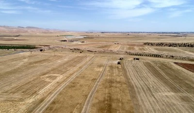 Mardin Ovası'nda bi&ccedil;erd&ouml;verlerin buğday hasadı gece de s&uuml;r&uuml;yor