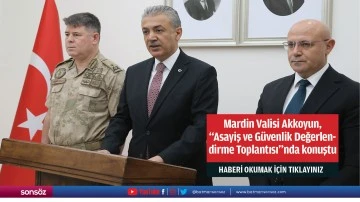 Mardin Valisi Akkoyun, "Asayiş ve G&uuml;venlik Değerlendirme Toplantısı"nda konuştu