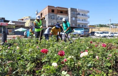 Mardin yolu 14 bin 200 g&uuml;lle renklenecek