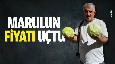 Marulun fiyatı u&ccedil;tu