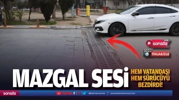 Mazgal sesi hem vatandaşı hem s&uuml;r&uuml;c&uuml;y&uuml; bezdirdi!