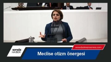 Meclise otizm &ouml;nergesi