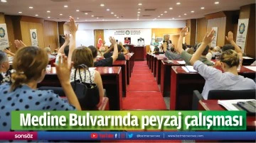 Medine Bulvarında peyzaj &ccedil;alışması