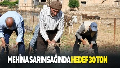 Mehina Sarımsağında hedef 30 ton&hellip;