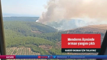 Menderes il&ccedil;esinde orman yangını &ccedil;ıktı