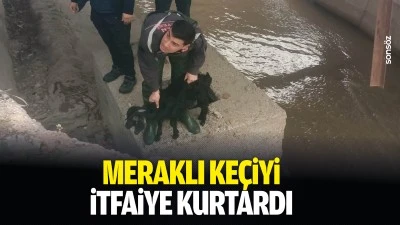 Meraklı ke&ccedil;iyi itfaiye kurtardı