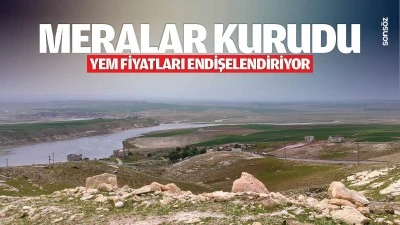 Meralar kurudu, yem fiyatları endişelendiriyor