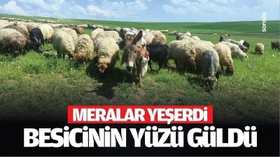 Meralar yeşerdi, besicinin y&uuml;z&uuml; g&uuml;ld&uuml;