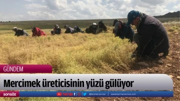 Mercimek &uuml;reticisinin y&uuml;z&uuml; g&uuml;l&uuml;yor