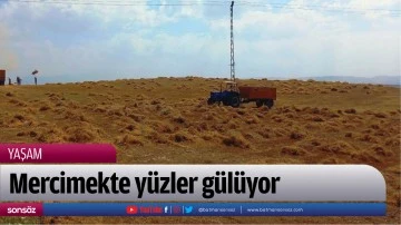 Mercimekte y&uuml;zler g&uuml;l&uuml;yor