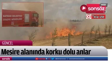 Mesire alanında korku dolu anlar