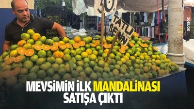 Mevsimin ilk mandalinası, satışa &ccedil;ıktı