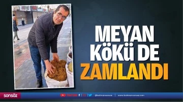 Meyan k&ouml;k&uuml; de zamlandı
