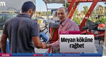 Meyan k&ouml;k&uuml;ne rağbet
