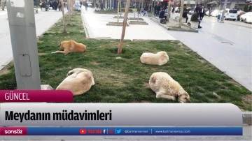 Meydanın m&uuml;davimleri