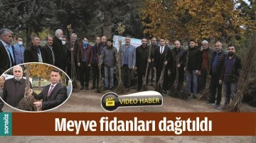 MEYVE FİDANLARI DAĞITILDI