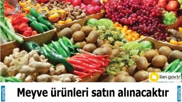 Meyve &uuml;r&uuml;nleri satın alınacaktır 