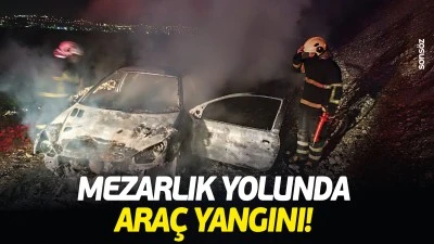 Mezarlık yolunda ara&ccedil; yangını!