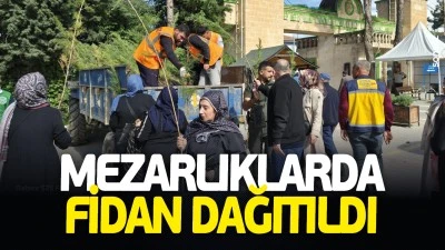 Mezarlıklarda fidan dağıtıldı