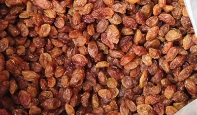 Mezrone kuru &uuml;z&uuml;m&uuml; yok satıyor